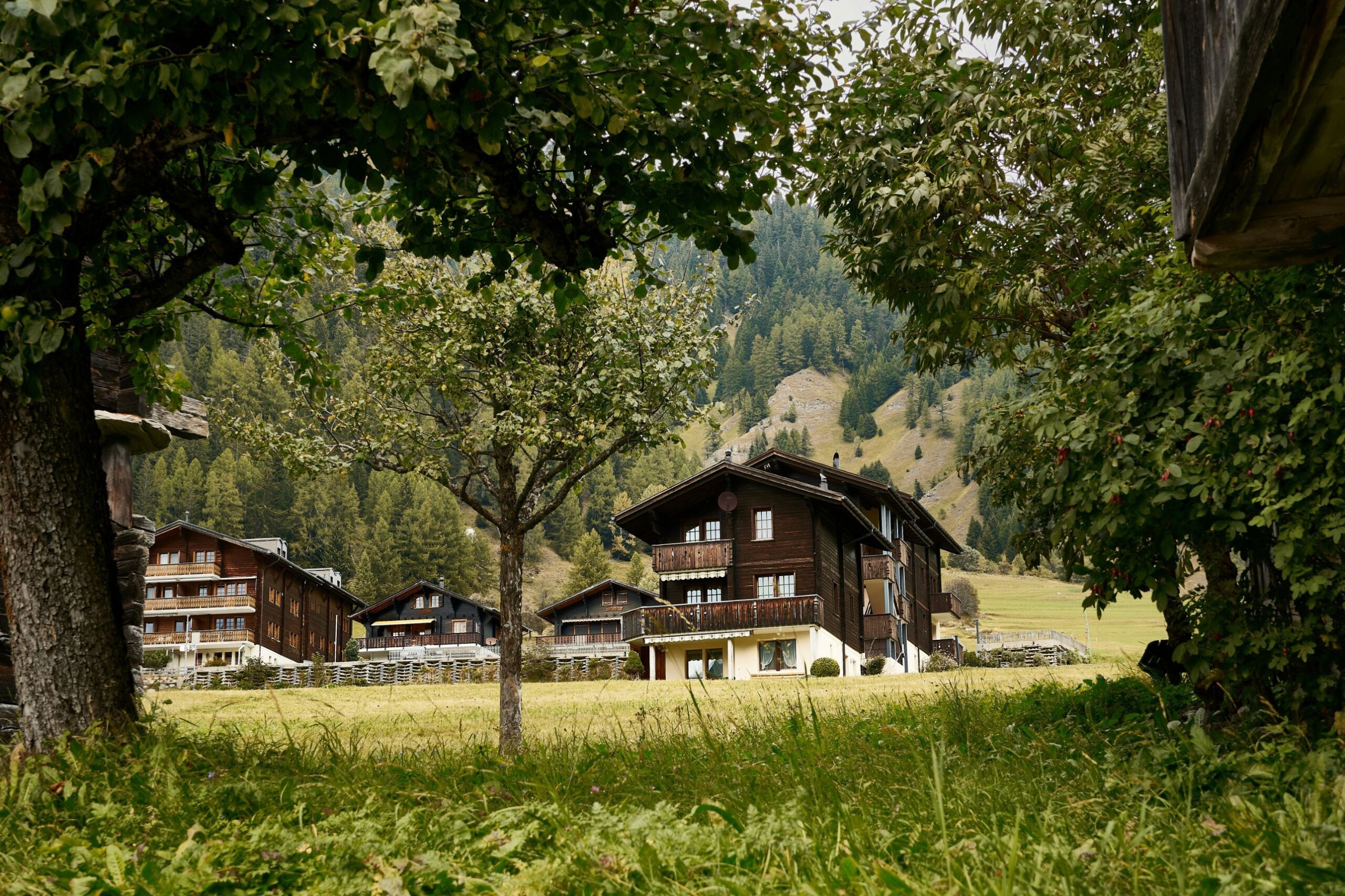 Chalets en bois au milieu des prés et des arbres fruitiers